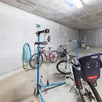 Gæstehus Trainera